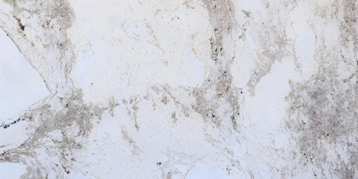 Monalisa Leather Granite