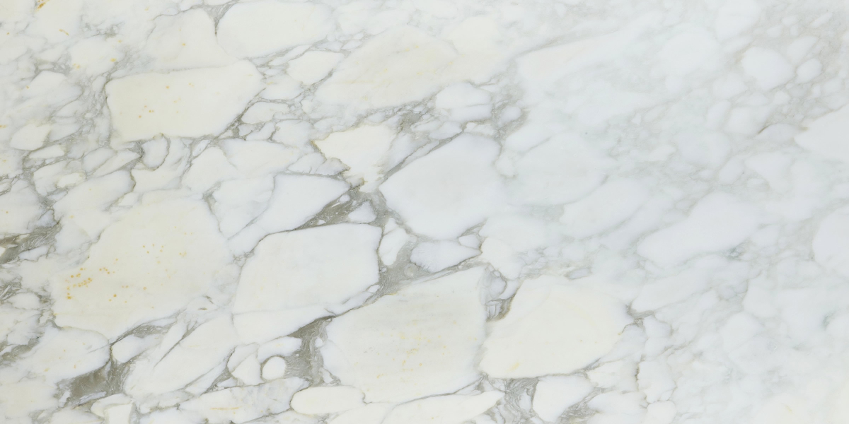 Calacatta Caldia Honed Marble