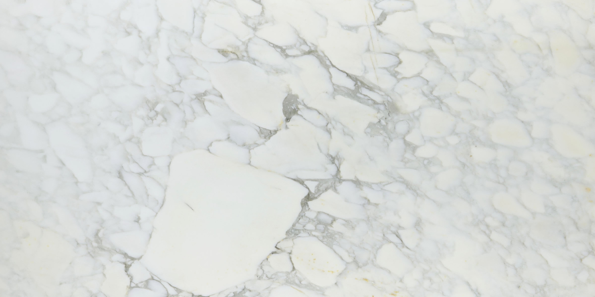 Calacatta Caldia Honed Marble