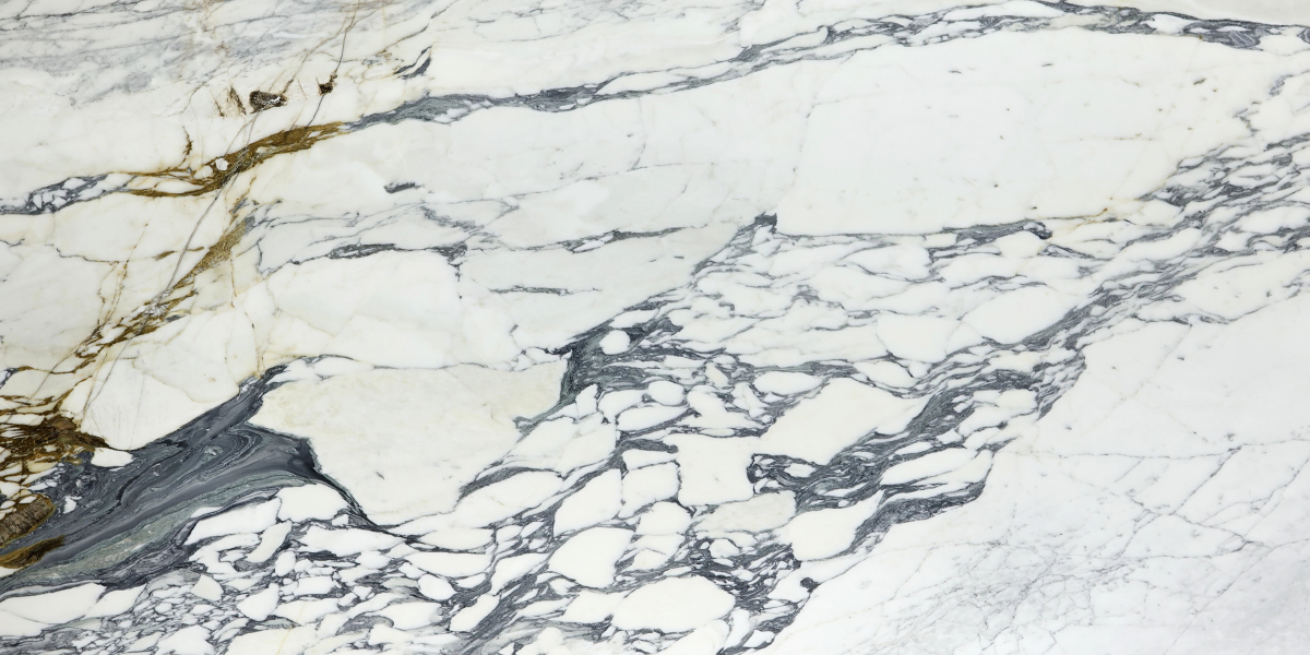 Calacatta Corchia Marble