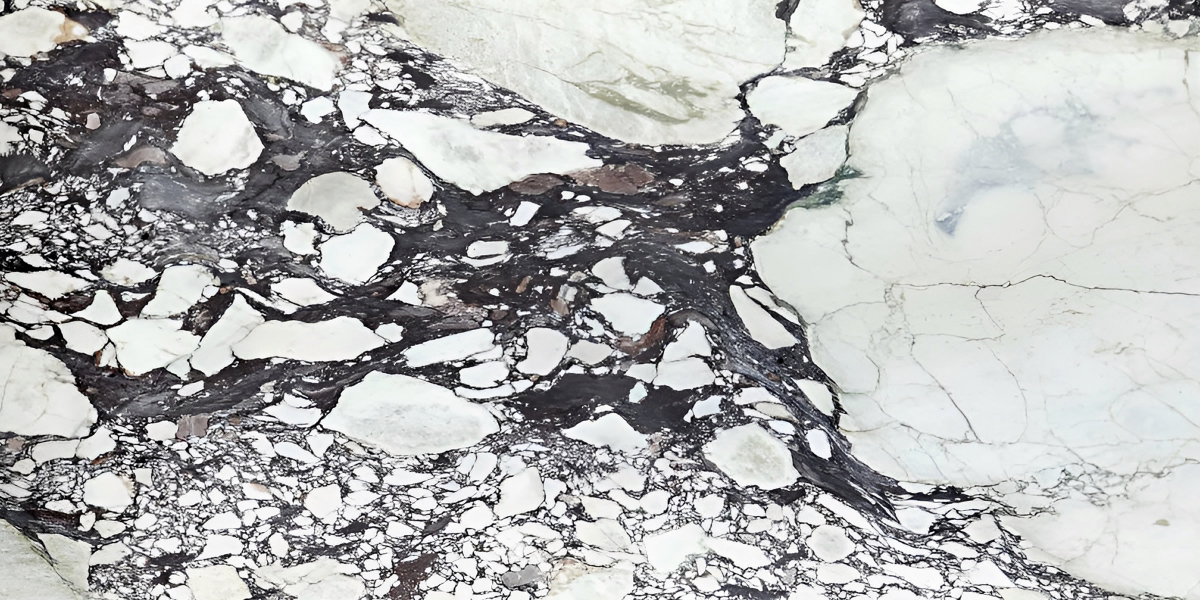 Calacatta Viola Marble