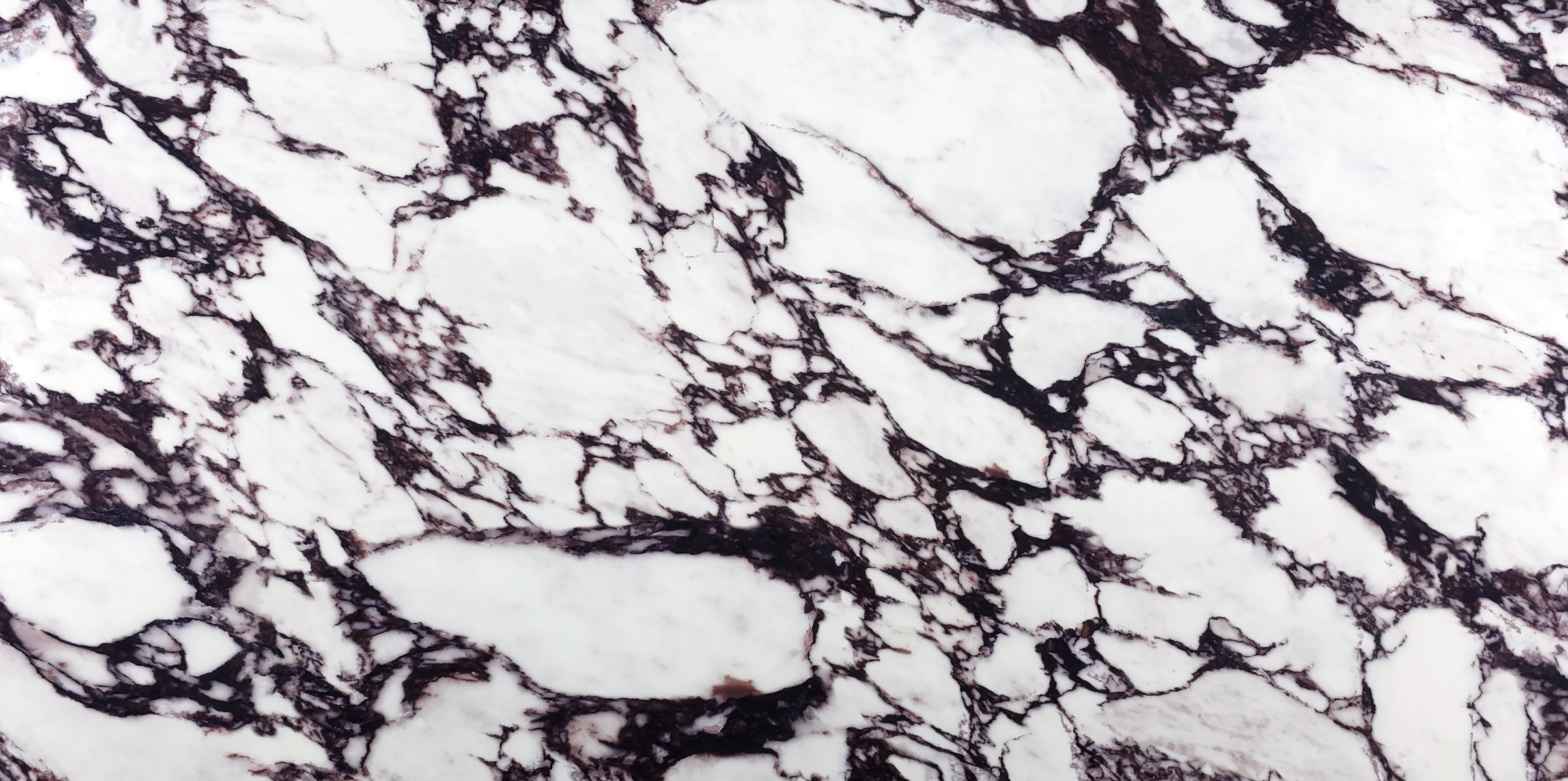 Calacatta Viola Psjq Quartz