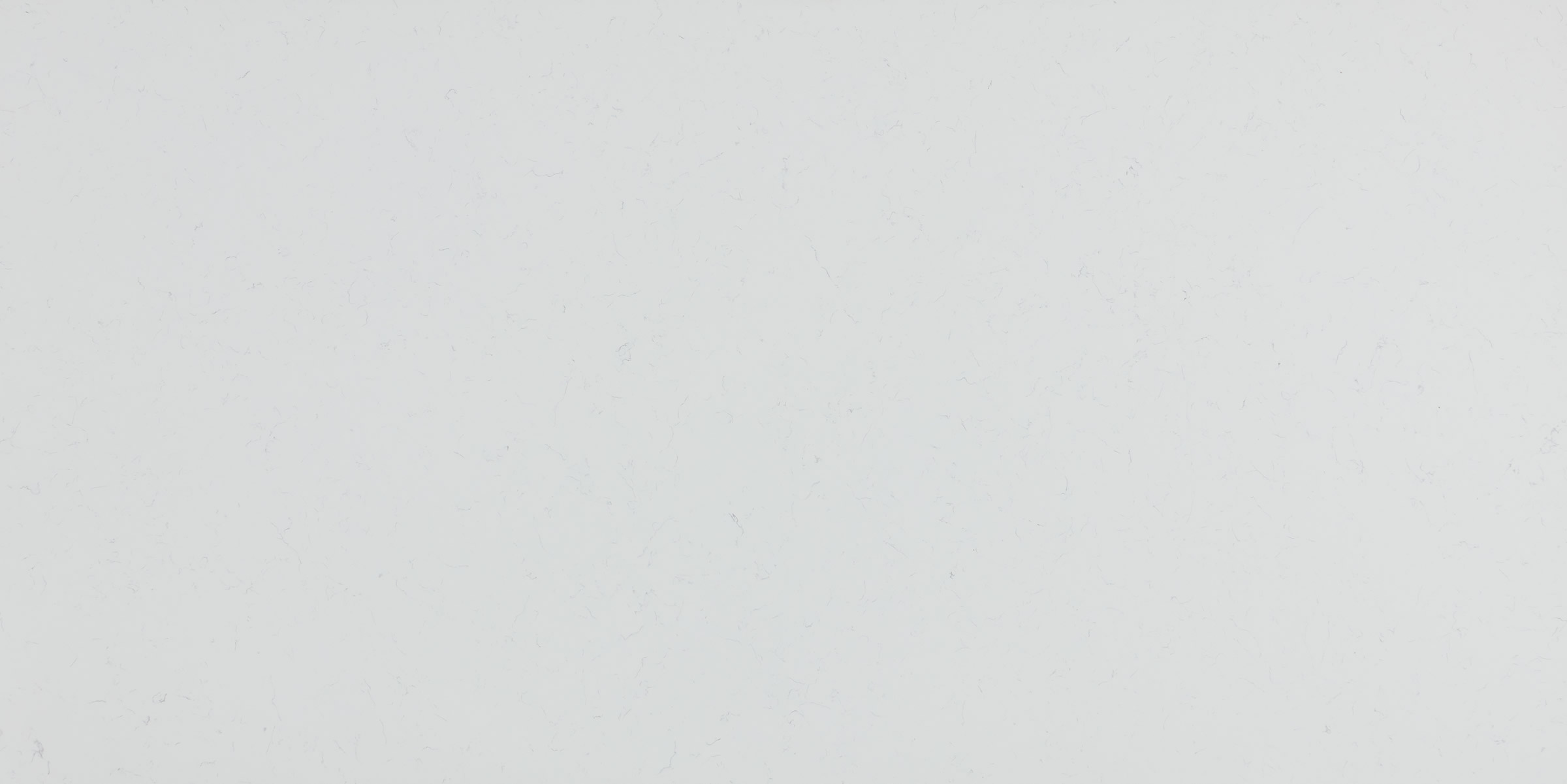 Carrara Dolphin IR Sjq Quartz