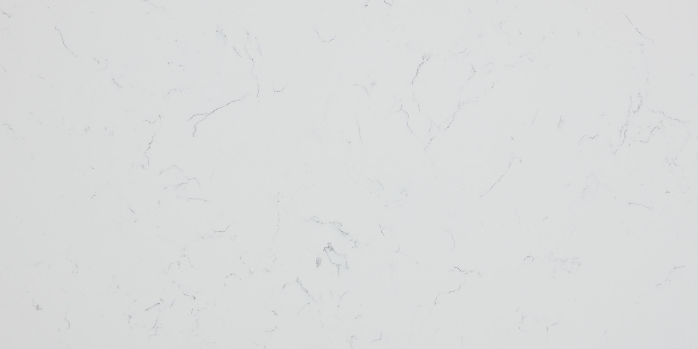 Carrara Dolphin IR Sjq Quartz