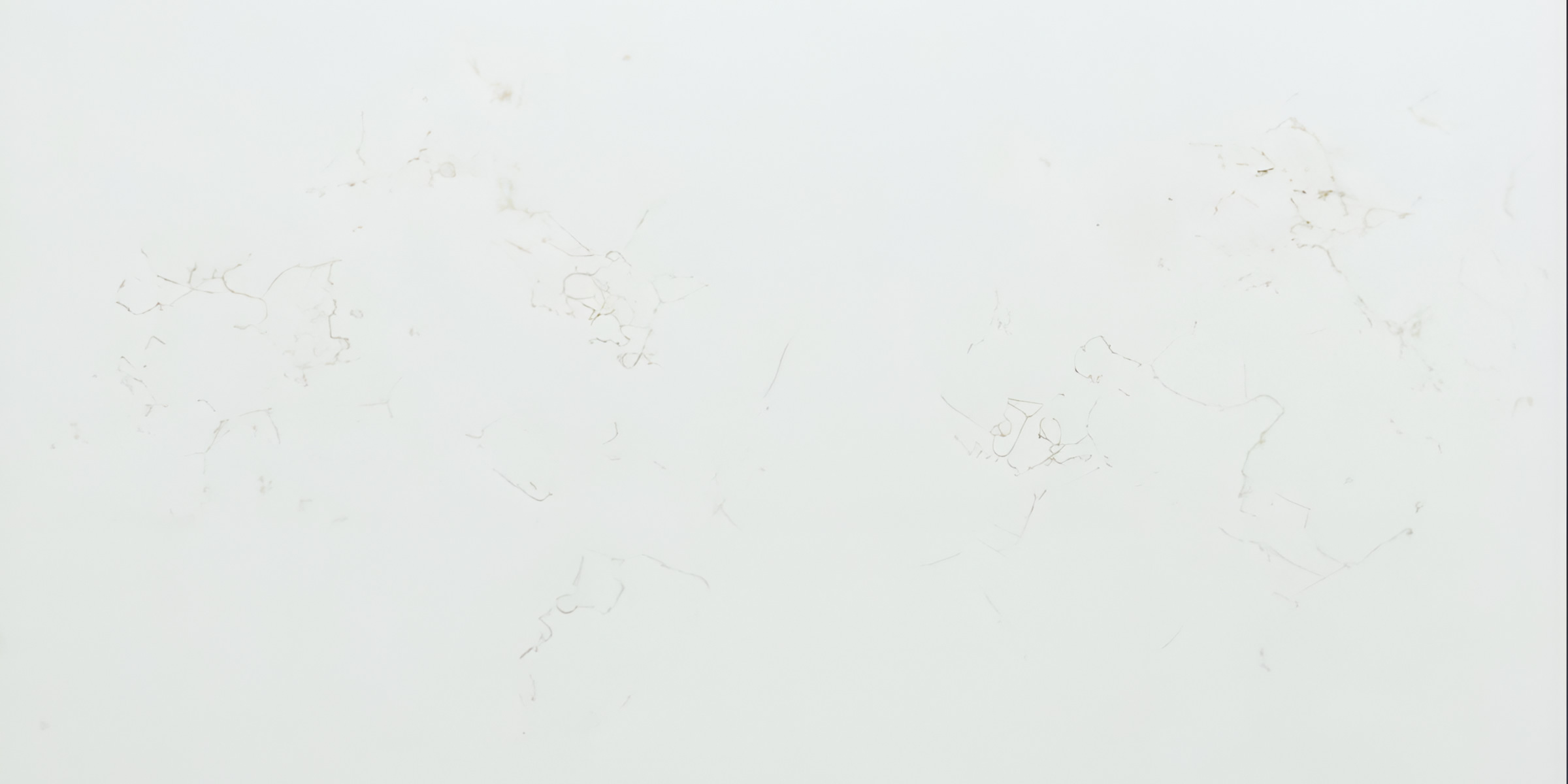 Cream Marfil IR Quartz