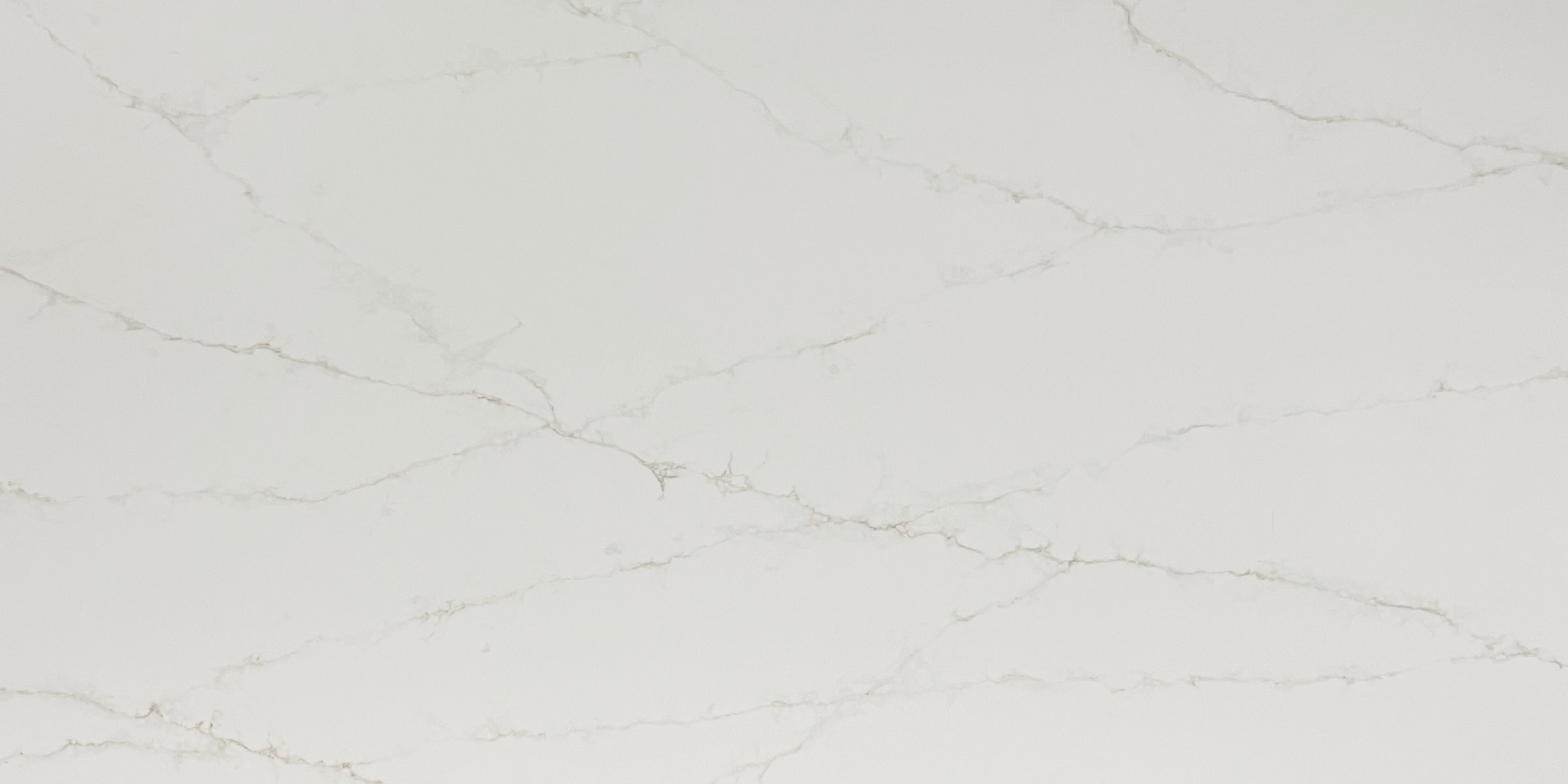 Calacatta Pisa Quartz