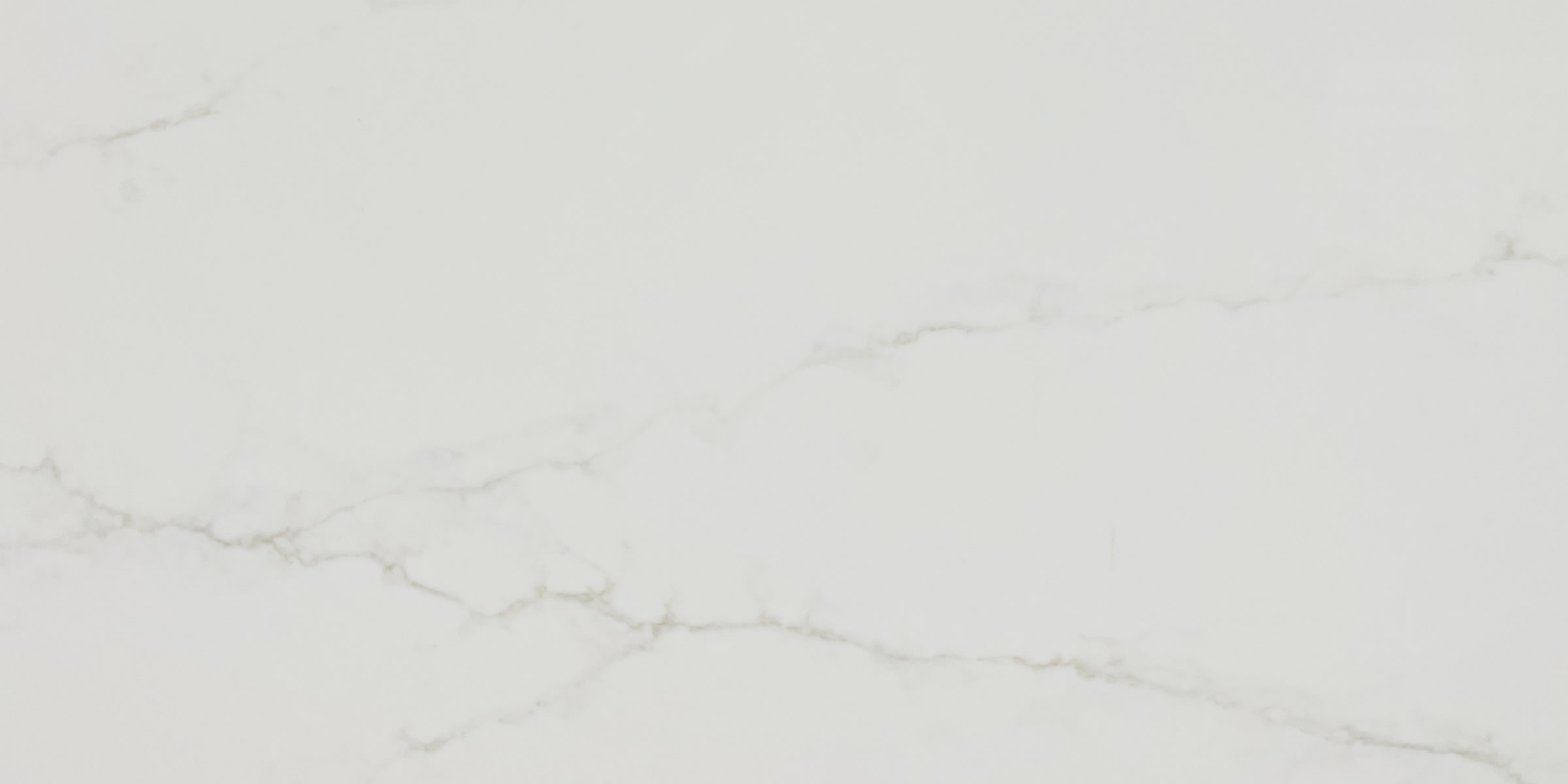 Calacatta Pisa Quartz