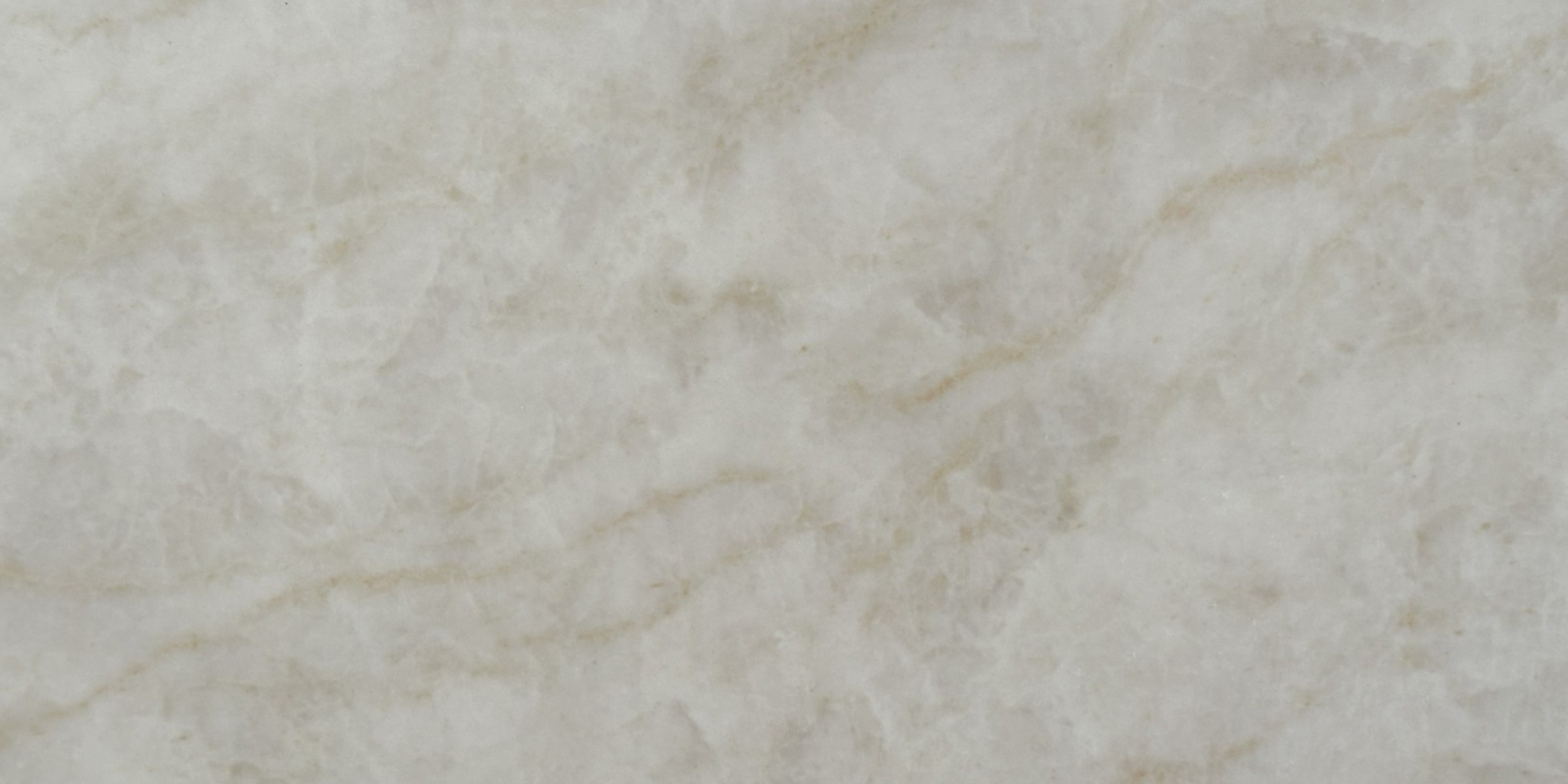 Royal Taj Printed Jumbo Quartz