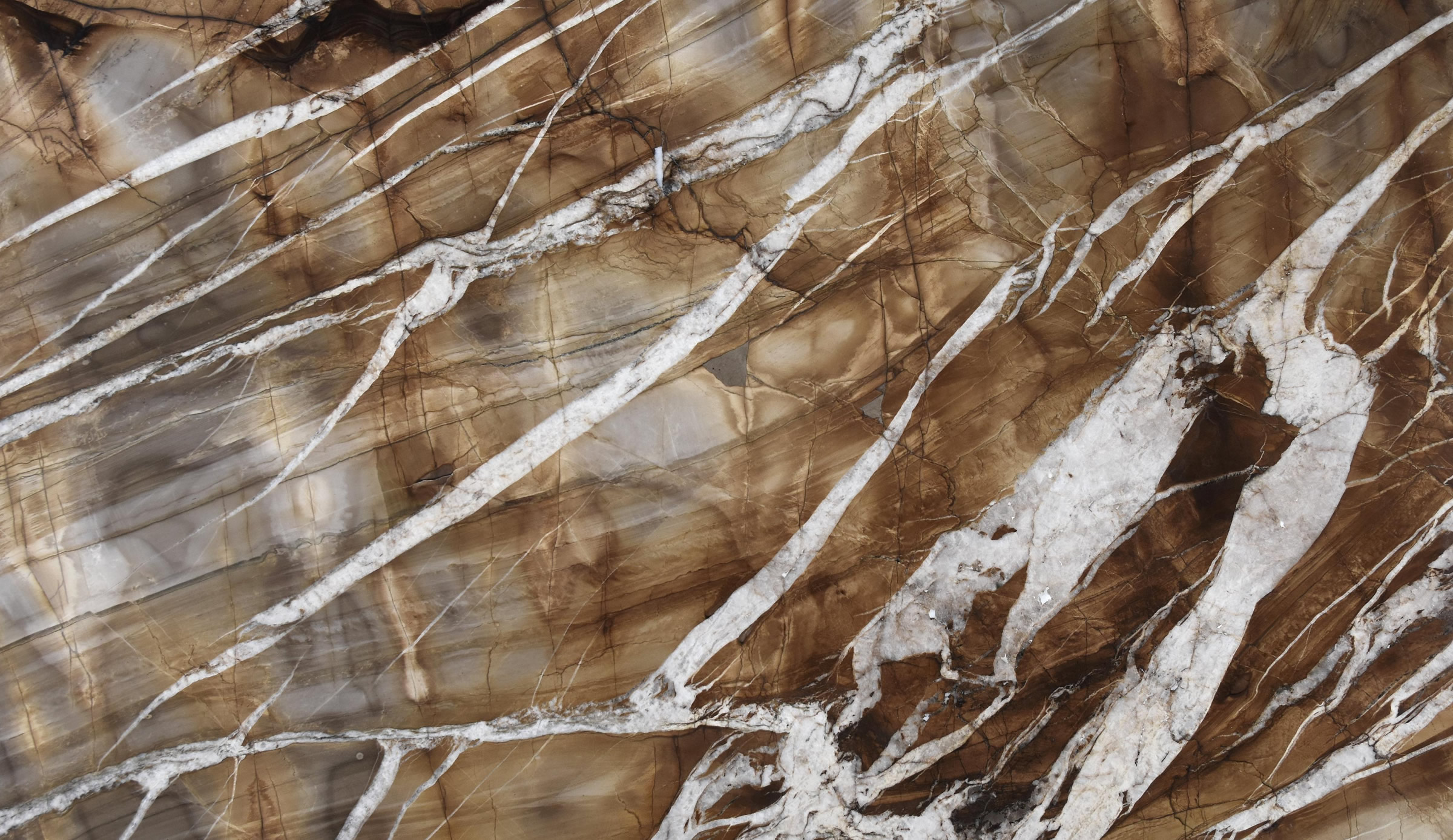 Splendido Extra Quartzite