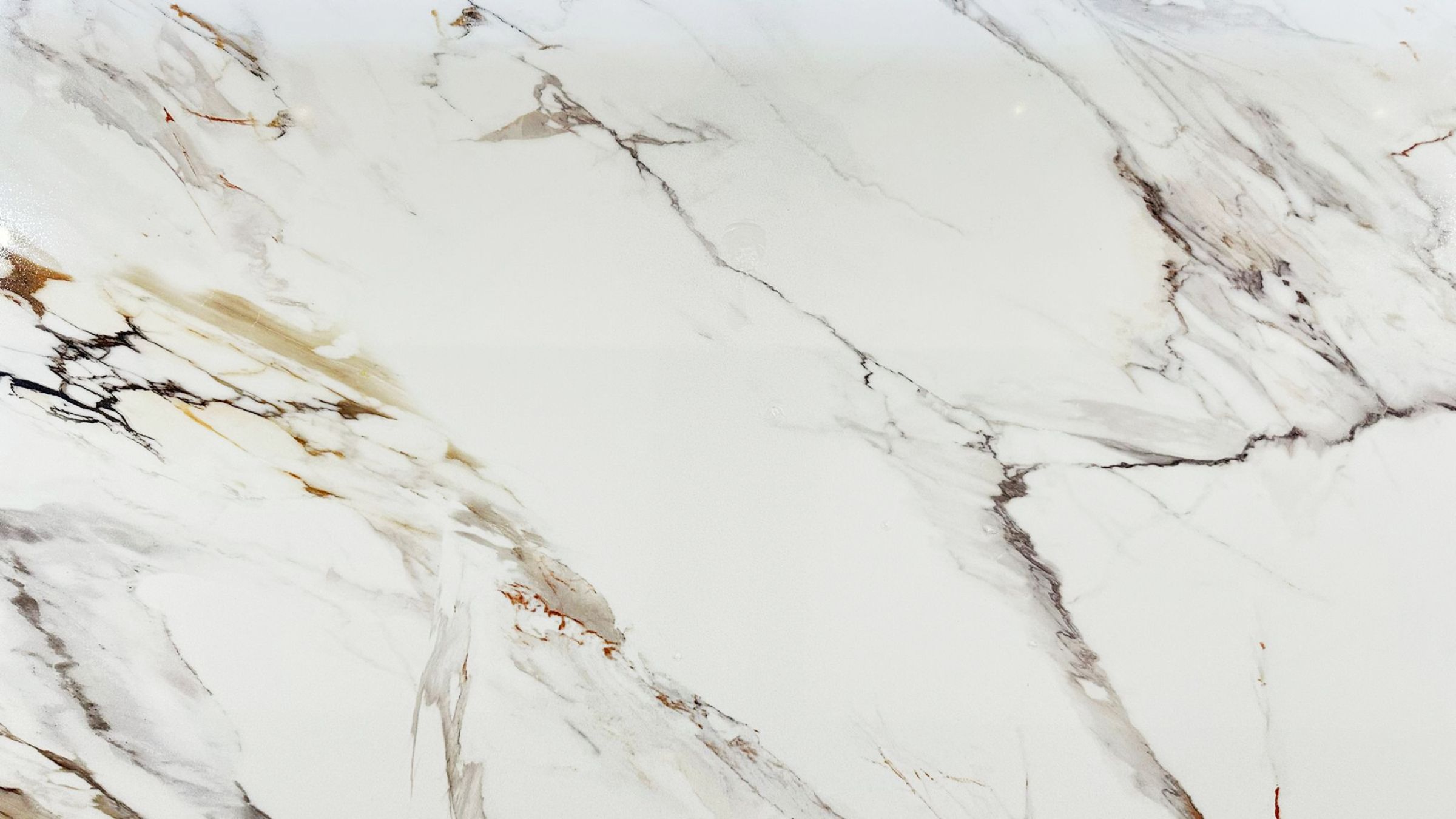 Venus Printed Jumbo Quartz