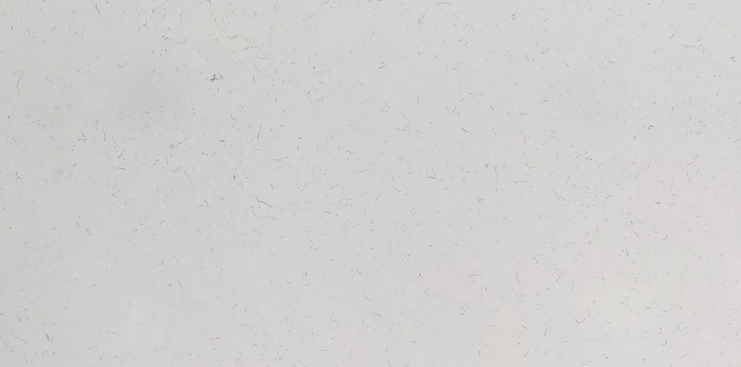 White Carrara Sjq Quartz