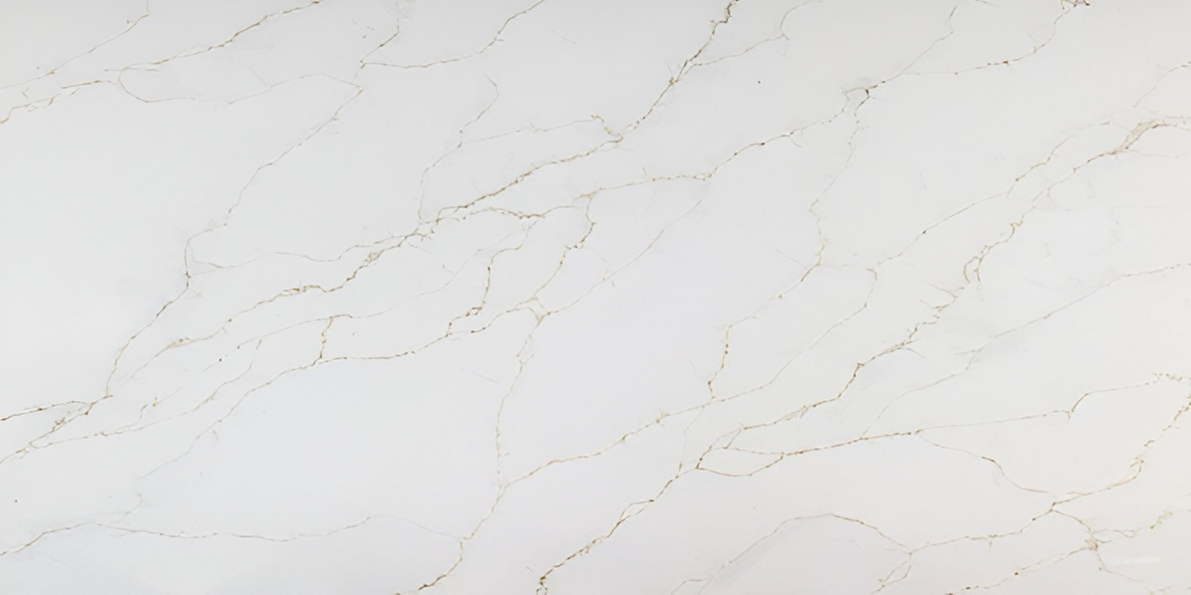 Calacatta Bolognia Jumbo Quartz