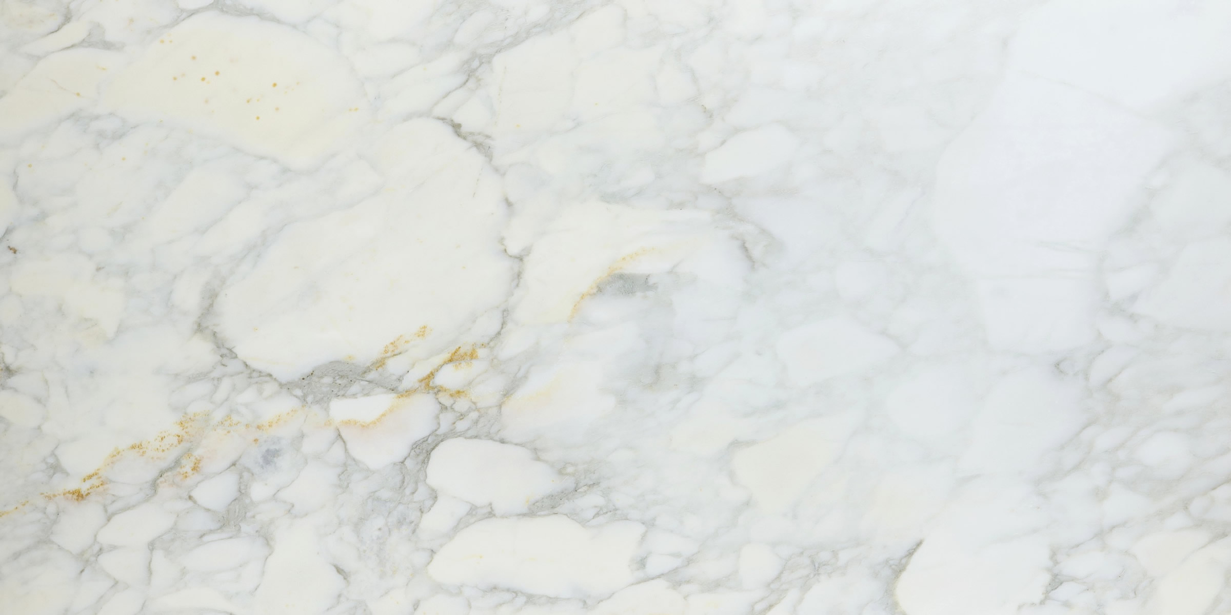 Calacatta Caldia Honed Marble