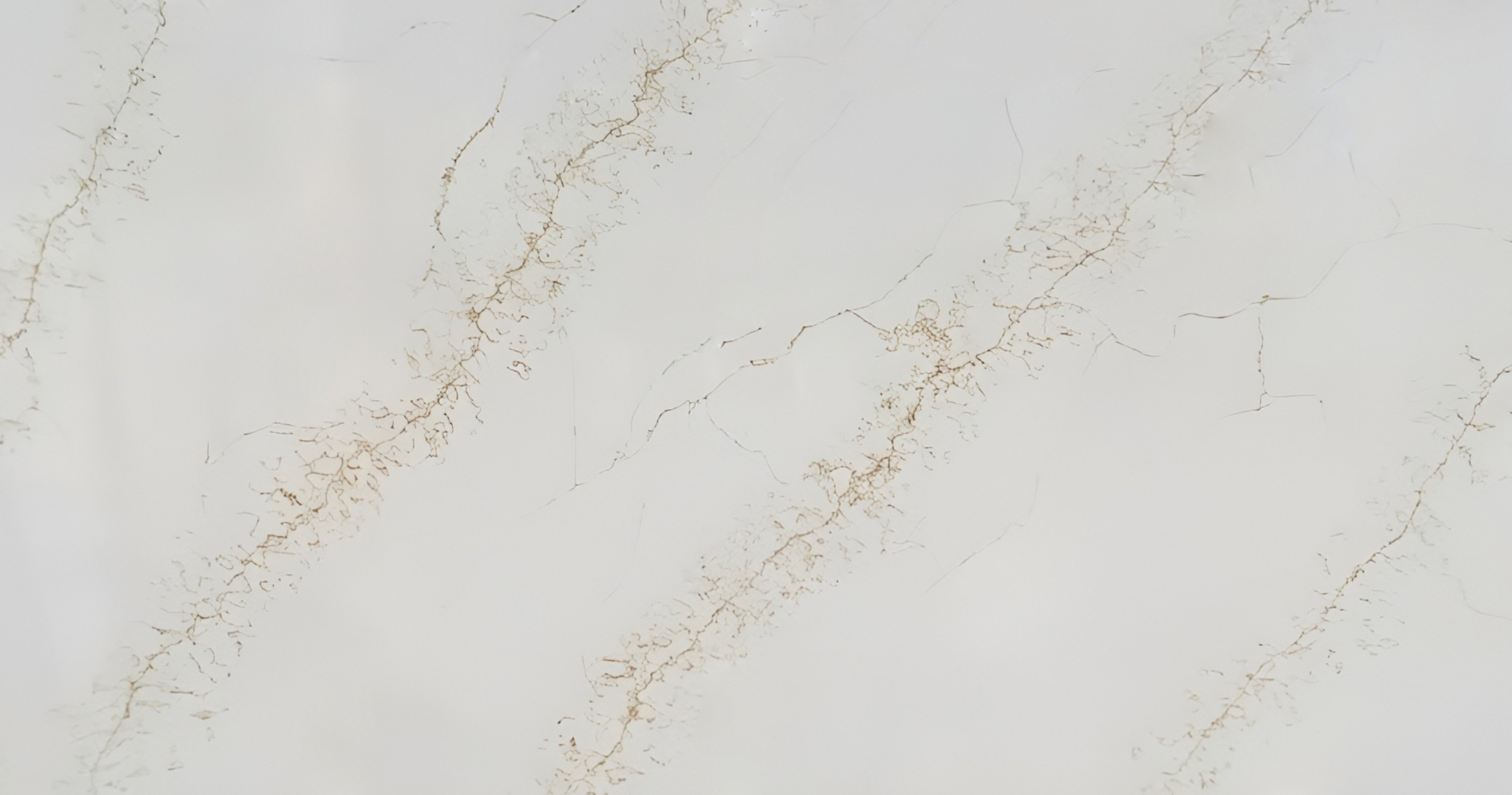 Calacatta Capraia Gold Sjq Quartz