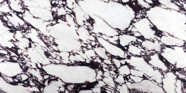 Calacatta Viola Psjq Quartz