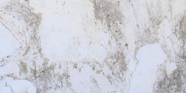 Monalisa Leather Granite