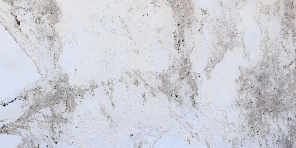 Monalisa Leather Granite