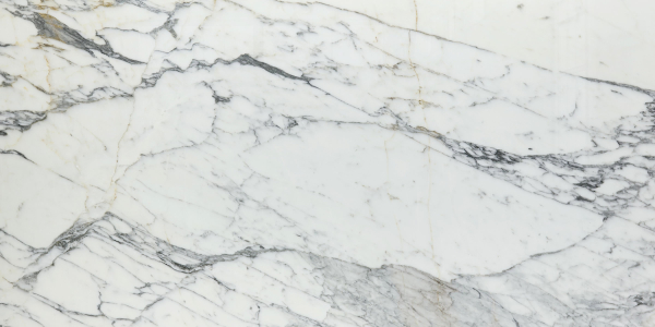 Arabescato Corchia Marble