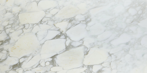 Calacatta Caldia Honed Marble