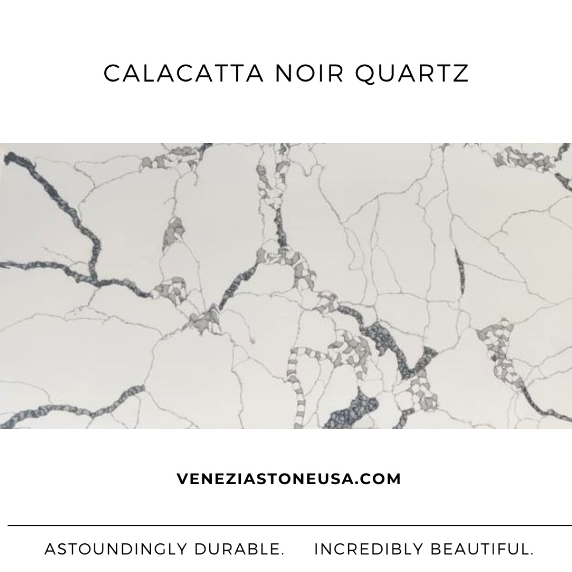 Calacatta Noir Quartz